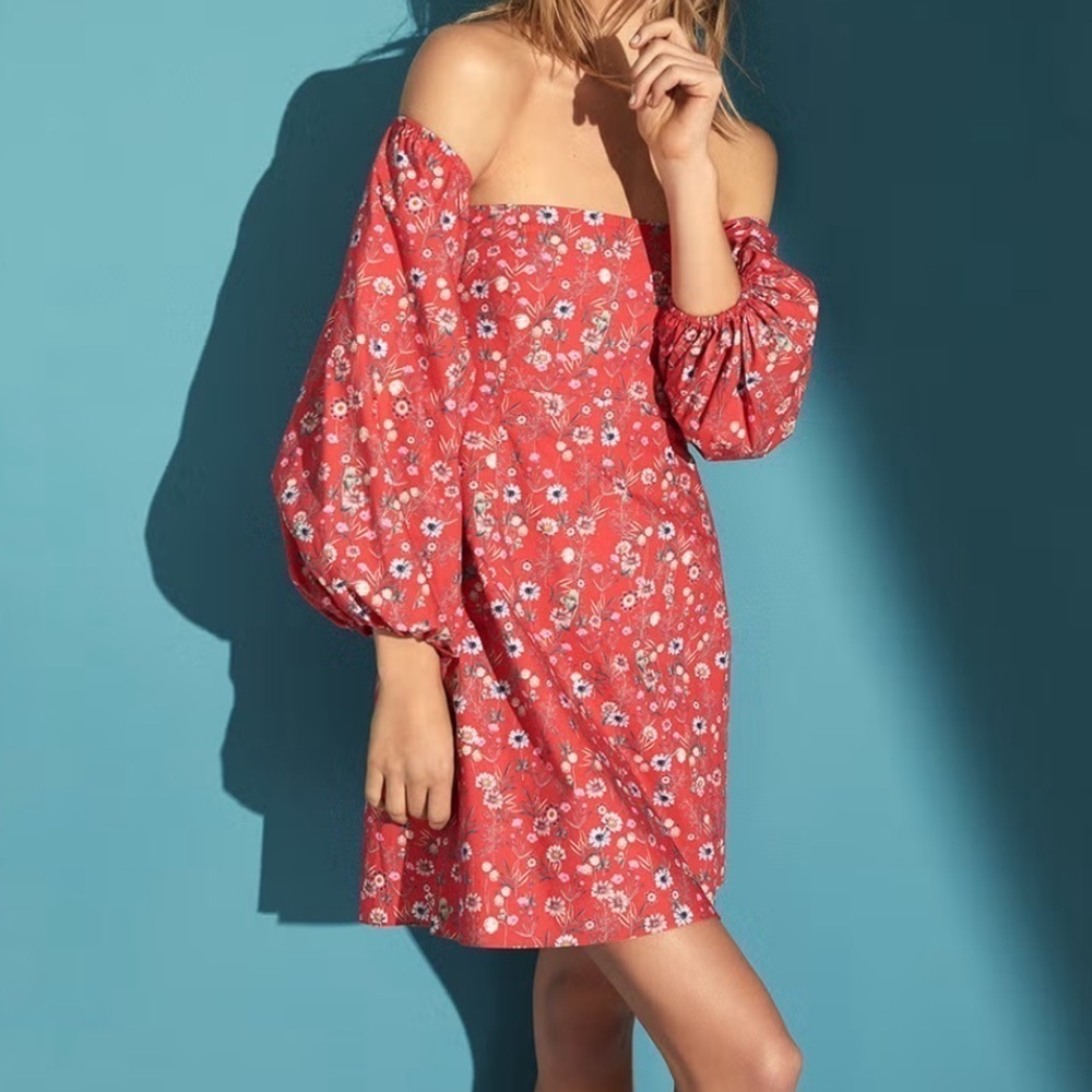 Cara Cara- Red Floral Montauk Long Puff Sleeve Mini Dress
